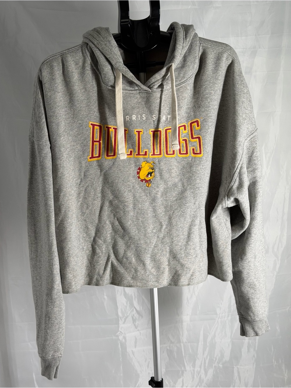 Vintage Men Champion Ferris State University Bulldogs Stretch Hoodie Sz XL